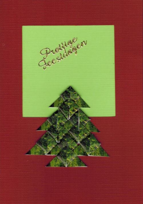 Wat een prachtige kerstboom voor het raam.
Kom jij ook al in kerststemming?
